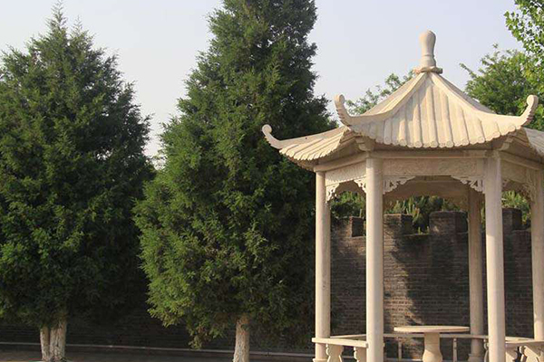  七王坟公墓在北京海淀区及其联系方式400—861—8568